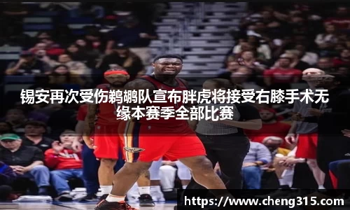 锡安再次受伤鹈鹕队宣布胖虎将接受右膝手术无缘本赛季全部比赛